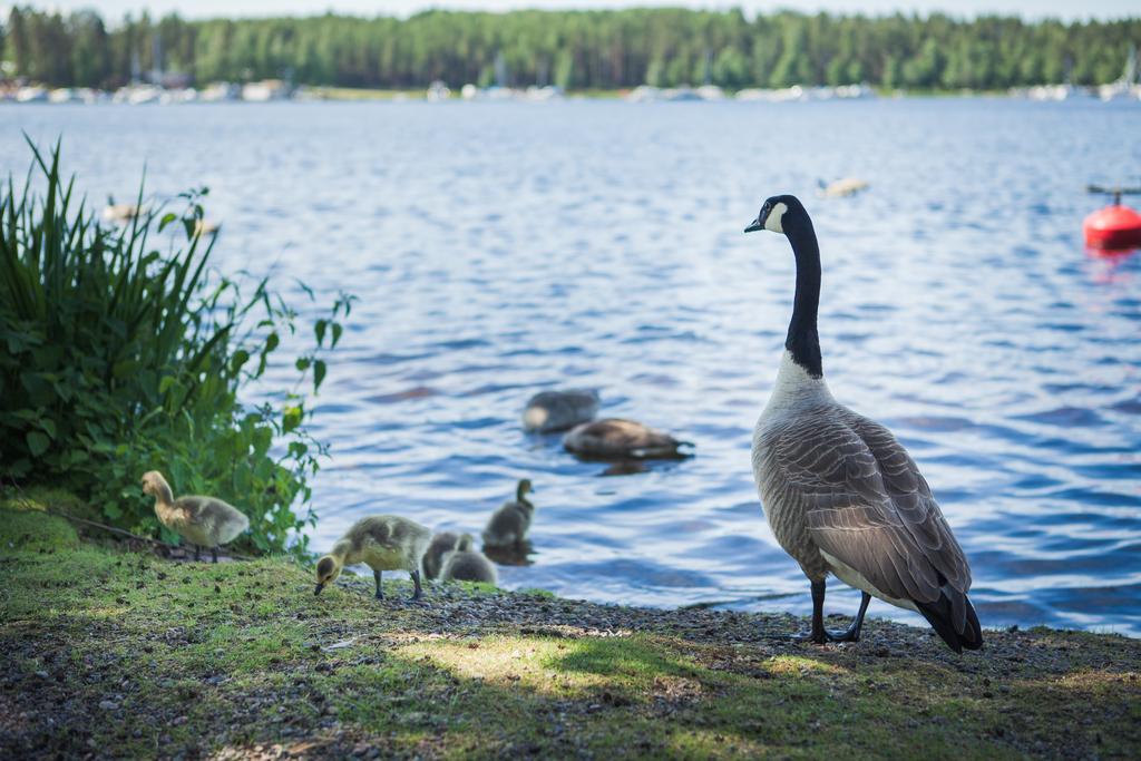 Finlandia Hotel Imatran Kylpylae Spa Экстерьер фото